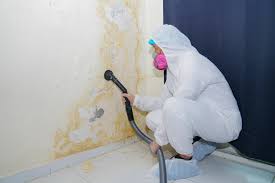 Why You Should Choose Our Mold Remediation Services in Chalfant, CA